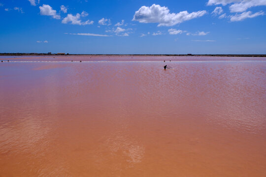 Scenic view of Le Salin de l'�le Saint-Martin de Gruissan in France with colorful pink water and cloudy sky