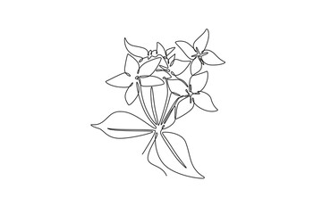 Single continuous line drawing beauty fresh flower plant for home decor wall poster print art. Printable decorative ixora flower for invitation card. One line draw graphic design vector illustration