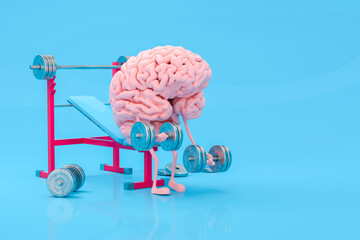Brain lifting weights on a bench in a humorous illustration