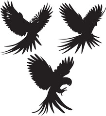 Parrot Silhouettes Collection - Adobe Stock Vector Illustrations