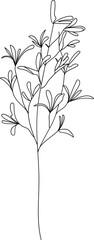 Naklejka premium Wildflower line art. Flat isolated hand drawn flowers. Minimalist style vector illustration