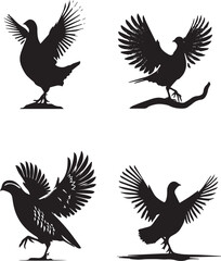 Elegant Bird Silhouettes Collection