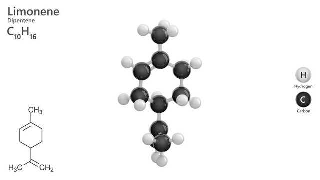 Limonene or Dipentene. Cycloalkene. Citrus aroma. Animated 3D model of a molecule. Molecular formula: C10H16. Chemical model: Ball and stick. White background. 3D rendering. Seamless loop.