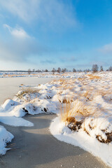 Snowcovered Winter Landscape The Royal