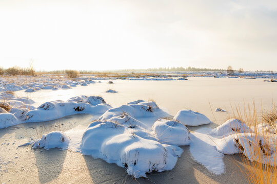 Snow-covered peat moor during winter at K�nigliches Torfmoor in the Brackvenn region of High Fens Nature Park with evening sunlight