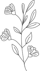 Wildflower line art. Flat isolated  hand drawn flowers. Minimalist style vector illustration