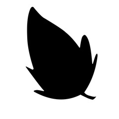 Hand drawn leaf silhouette 