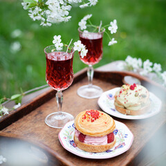 Spring picnic in blooming apple orchard -  vintage table cherry cocktails and sweet cakes are perfect setting for a romantic date.