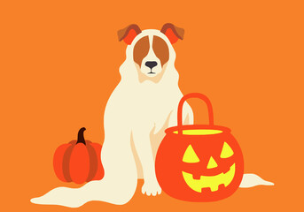 Dog with jack-o'-lantern and pumpkin on orange backdrop
