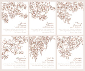 Vector set of cards with branches of blooming spring trees. Blooming apple and cherry trees, jasmine, sakura, wisteria, magnolia © Viktoriia Holovko