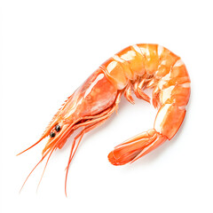Cooked prawn isolated on a white background, showcasing vibrant color and texture, perfect for seafood dishes or culinary presentations