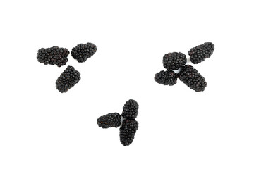 Set of blackberries on white background