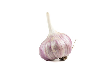 Close-up of garlic on white background