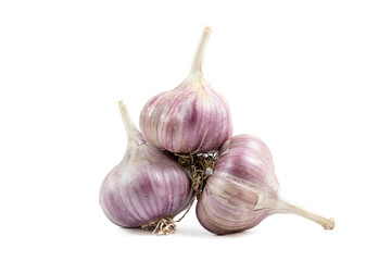 Garlic on white background close-up
