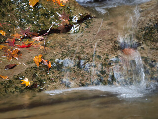 紅葉した養老渓谷