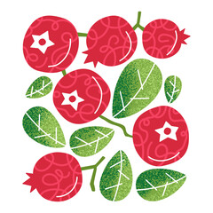 Beautiful illustration with texture. Lingonberry berries and leaves. Vector graphic.
