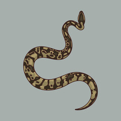 Obraz premium The symbol of the new year 2025 is a snake