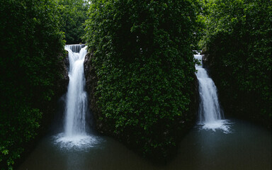 Obraz premium Waterfall in Tropical Forest