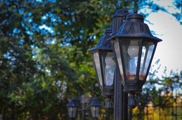 Three black street lamps with clear glass globes. The light is on and the lamps are lit up.