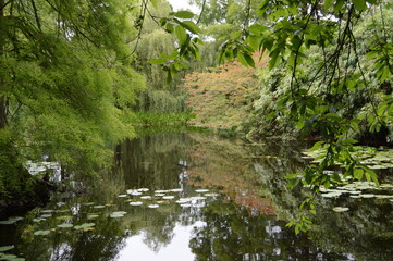Lakes at Cambridge Botanic Gardens