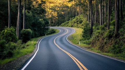 A winding road through a forest.