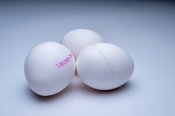 , Deutschland, 09.12.2024,  Drei wei&szlig;e H&uuml;hnereier auf einer glatten, hellen Oberfl&auml;che. Ideal f&uuml;r Themen rund um Lebensmittel, Gesundheit und Nachhaltigkeit.