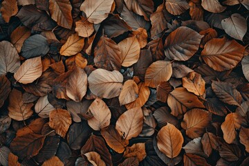 Fototapeta premium A vibrant collection of autumn leaves covers the ground, showcasing a rich palette of browns, oranges, and golds, creating a peaceful atmosphere in the forest.