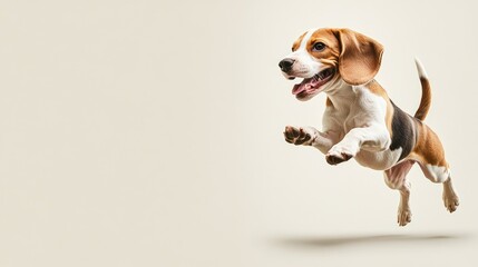 A playful beagle dog with a wagging tail, captured mid-action in a park setting, against a light solid color backdrop