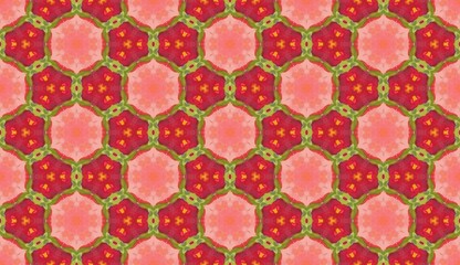 Symmetrical Floral Pattern with Vibrant Red and Green Motifs.