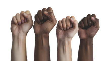 Four Fists of Unity: A Symbol of Diversity and Strength