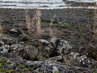 Isle of Bute, Firth Of Clyde, Scotland, UK