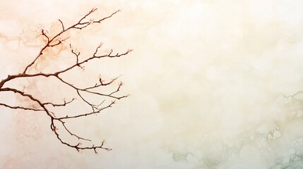 Delicate Branch with Blossoms Against a Soft Background