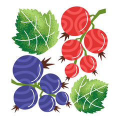 Beautiful illustration with texture. Currant berries and leaves. Vector graphic