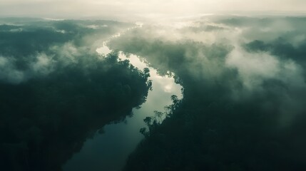 Obraz premium Aerial view of the Amazonas jungle landscape with river bend