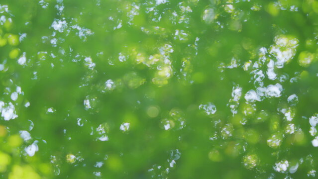 Green leaves bokeh out of focus background from nature forest. Green forest bokeh blur background. Blur.