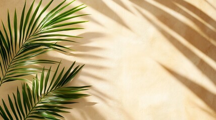 Obraz premium Palm Fronds Cast Shadows On Beige Wall