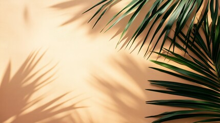 Obraz premium Palm Leaves Cast Shadows On Peach Background