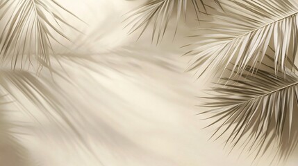 Fototapeta premium Beige Background with Palm Fronds and Shadows