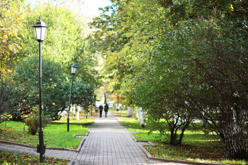 city park without people on an autumn day, bright rays of the sun shine through the crowns of maple...