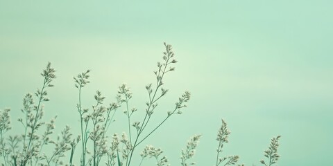 A pale mint green backdrop with a smooth gradient and soft edges, creating a peaceful minimalist effect.