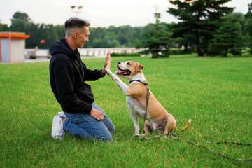 Dog and man on a walk. Closeup, outdoor. Concept of care, education, obedience training and raising...