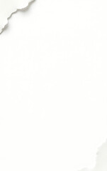 Obraz premium Torn pieces of paper with rough edges are isolated against a plain white surface._00001_