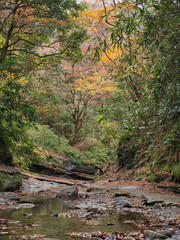 梅ヶ瀬渓谷の晩秋