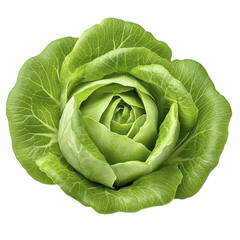 Fototapeta premium Fresh Green Lettuce Head, Isolated on Black | Minimalist food photo...