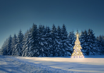 Christmas background with golden fir tree in winter forest. © Swetlana Wall