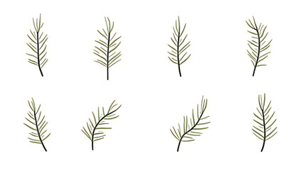 A set of vector graphic illustrations in EPS10 format featuring a single fir branch for use as a Christmas tree decoration._00001_