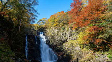 A waterfall flowing through a vibrant autumn forest, with bright red and orange leaves contrasting with the clear blue sky above