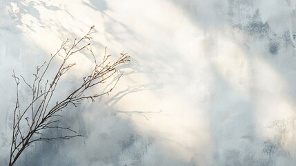 Obraz premium Bare Branch Casts Shadow Against Textured Wall
