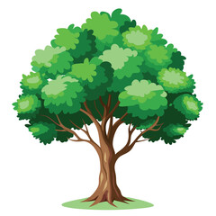  Realistic tree transparent set with isolated images of single trees with foliage green leaves and text vector illustration 