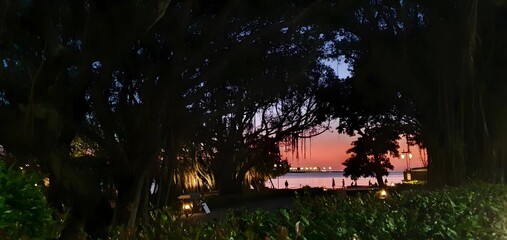 Beautiful view of the riverbank from the banyan trees at sunset